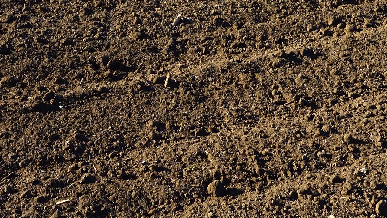 Il campo agricolo, riprese della terra arata. Riprese in aree rurali