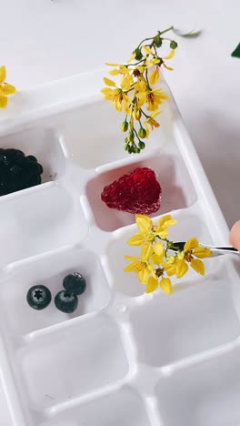 fruit and flower ice cubes