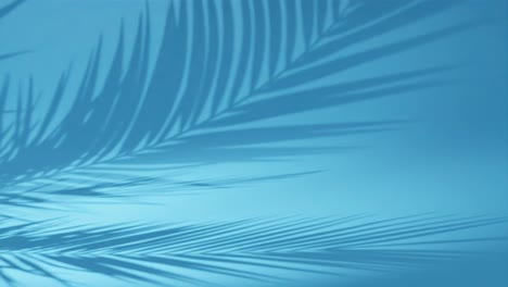hojas de palma tropical contra un fondo azul