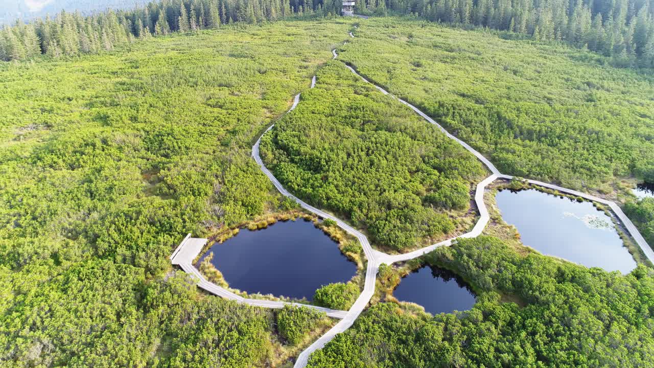 Aerial: Bird's eye view of Lovrenc Lakes or Lovrenska Jezera, a natural habitat for plants and animals in Slovenia