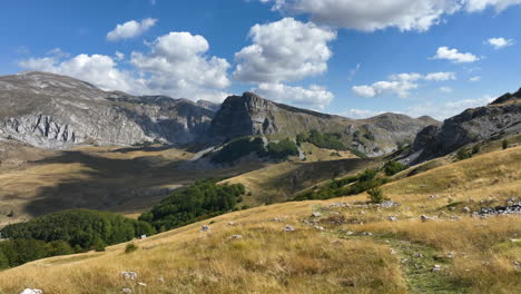 flight over beautiful mountain peaks covered with grass