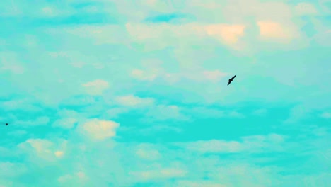 pájaro águila dorada en el cielo azul perfecto y nubes familia accipitrida