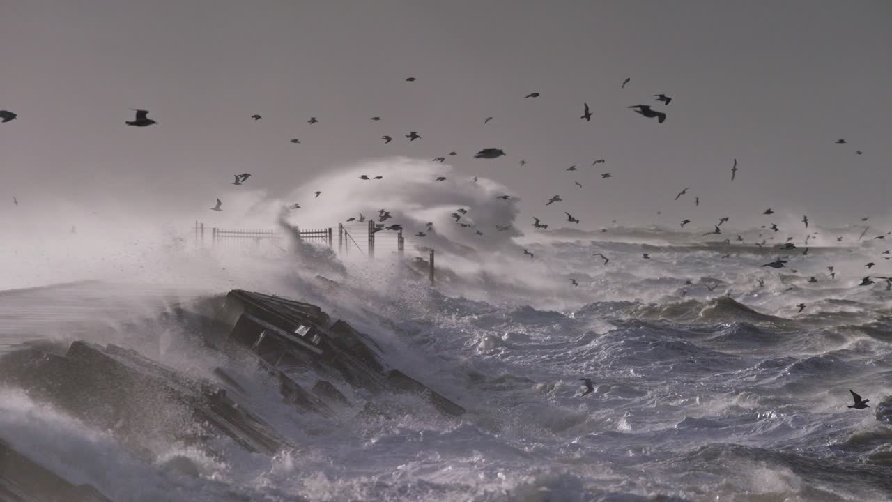 Stormy Waves Crashing Against Breakwater with Gulls
