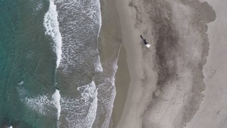 panoramic image recorded with a drone of a couple walking on the sand of a beach in southern spain, the waves crashing at their feet