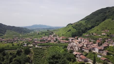 drone shot of small village in veneto wine region with surrounding vineyards