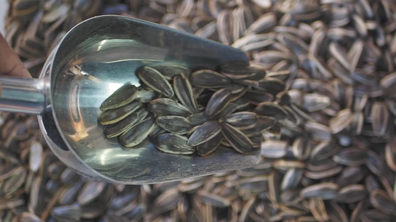 금속 스쿠프에 넣은 꽃 씨