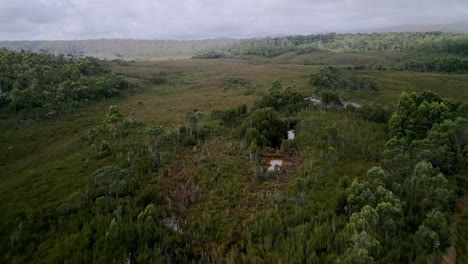 Luftaufnahme-Einer-Landstraße-Und-Einer-Wiese-In-Der-Nähe-Des-Hafens-Von-Granville,-Tasmanien,-Australien