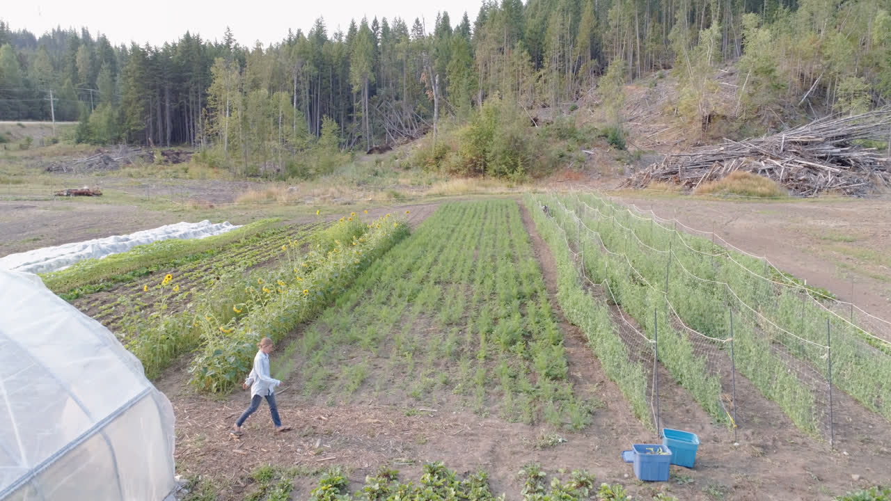 dos agricultores que trabajan en el campo 4k