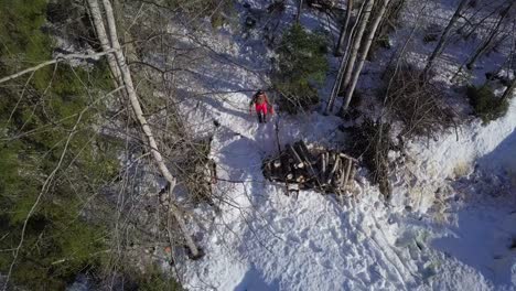 aerial, man cutting trees in the woods, walking through the forest, chainsaw and axe