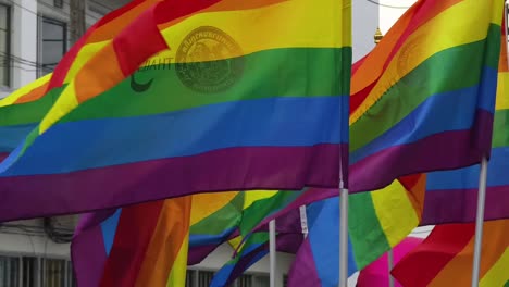 las banderas del orgullo del arco iris