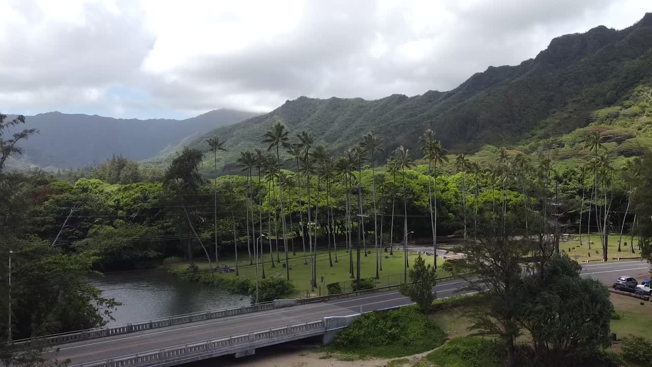 Scenic Aerial View of Lush Valley with River, Bridge, and Palm Trees