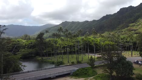 scenic aerial view of lush valley with river, bridge, and palm trees