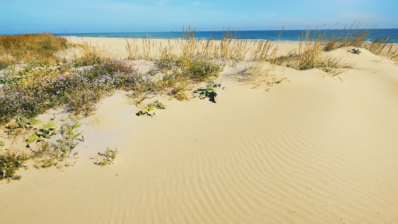 Sandklitter. Optagelse i bevægelse