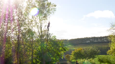 Tree-Surgeon-Working-in-the-Tree-Tops