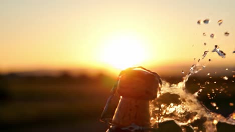 celebratory wine bottle opening at sunset: a dynamic splash of bubbles and cork in glorious golden light