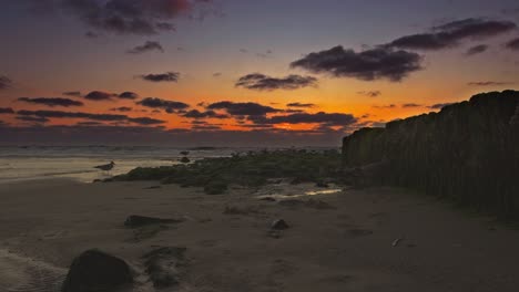 wild seagulls are sitting next to a groyne in from of a red sunset on a beach, one is flying through the background of this wonderful natural scene