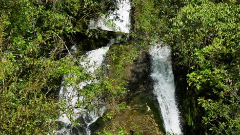 Cascada-Idílica-Y-Naturaleza-Asombrosa-En-El-Bosque-Selvático-De-Nueva-Zelanda---Tiro-De-Título