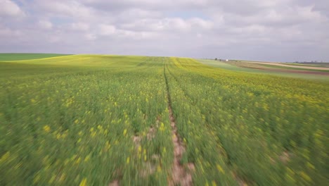 Imágenes-Aéreas-De-Campos-De-Cultivo-En-Polonia