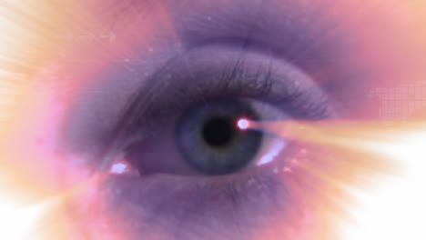 stock footage of an eye