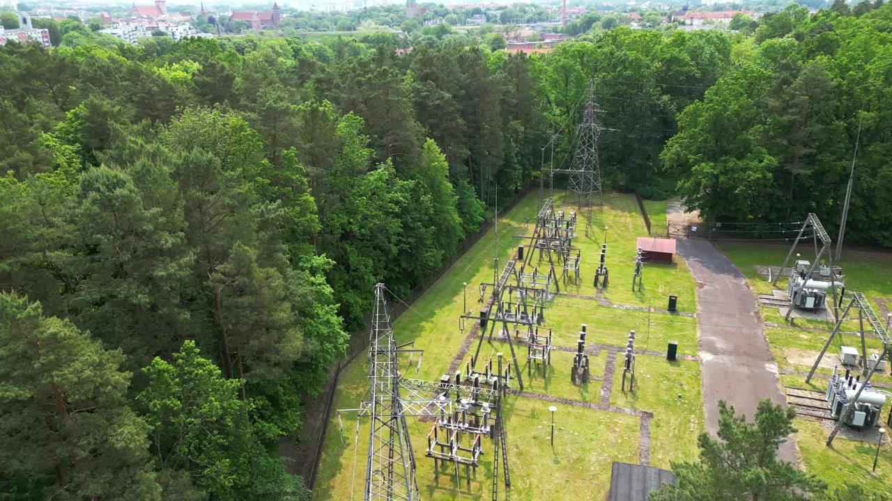 Hochspannungsmast umgeben von dichtem Wald im Sommer
