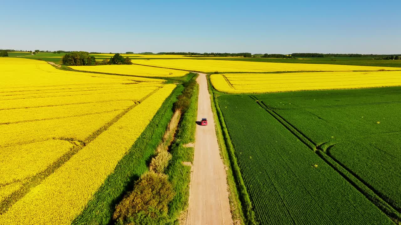 Country panorama expressing territorial management, authority, Rapeseed field