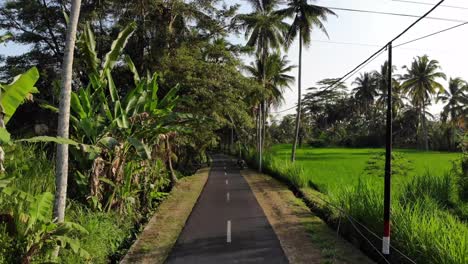 Drone-shot-of-a-road-in-Bali,-Indonesia