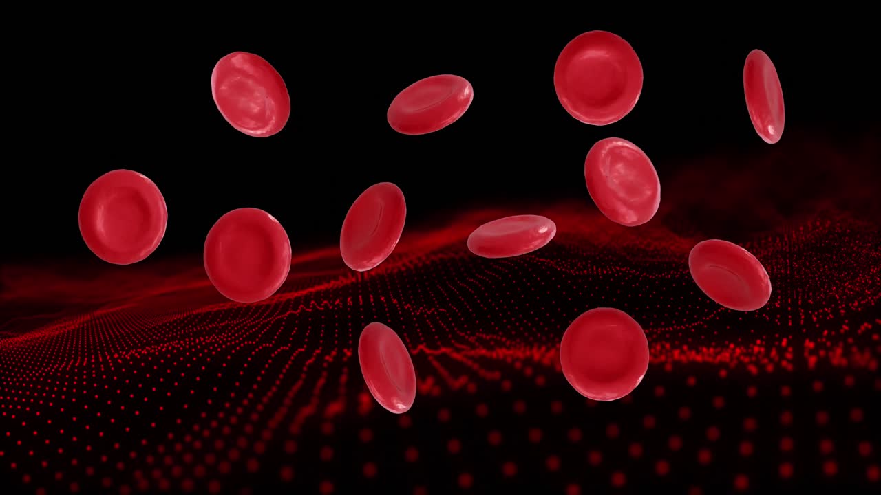 검은색 배경에 적혈구의 마이크로의 애니메이션