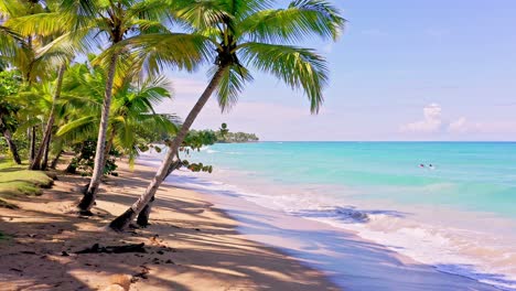 malerischer blick auf den tropischen strand von playa bonita in las terrenas, dominikanische republik – statische aufnahme