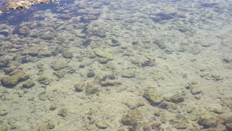 Tote-Korallen-Am-Strand-Oder-Am-Meeresufer-In-Grauer-Und-Brauner-Farbe.-Textur-Und-Muster-Tropischer-Strandhintergrund