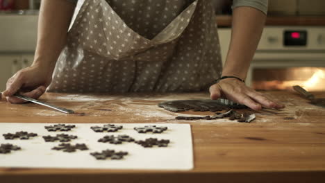 cutting out gingerbread cookies from dough in kitchen, medium