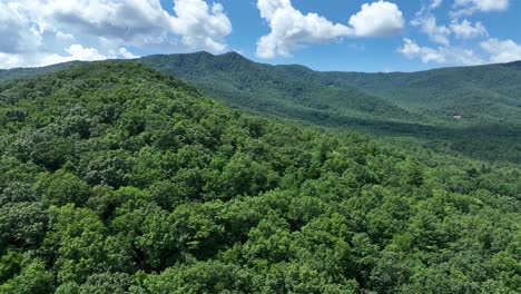 Fliegen-Durch-Die-Berge-Von-North-Carolina