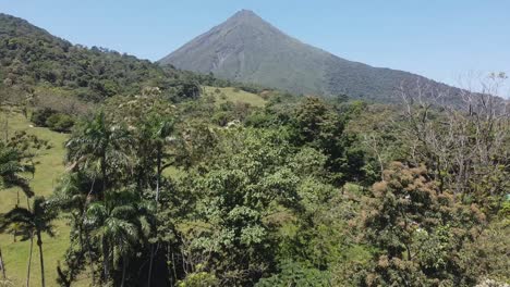 aerial rises amid flowering tropical jungle trees to arenal volcano