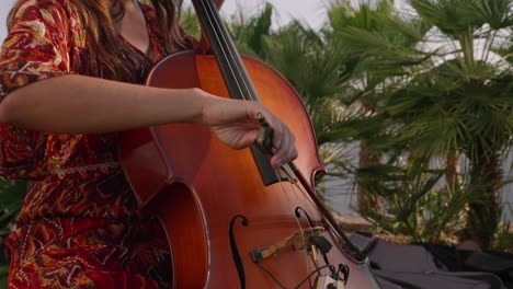 mujer elegante toca el violonchelo en un evento de empresa