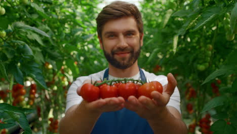 farmer demonstrating tomatoes harvest in organic farmland greenhouse smiling