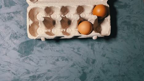 stop motion of two organic eggs moving around in an egg tray, overhead shot