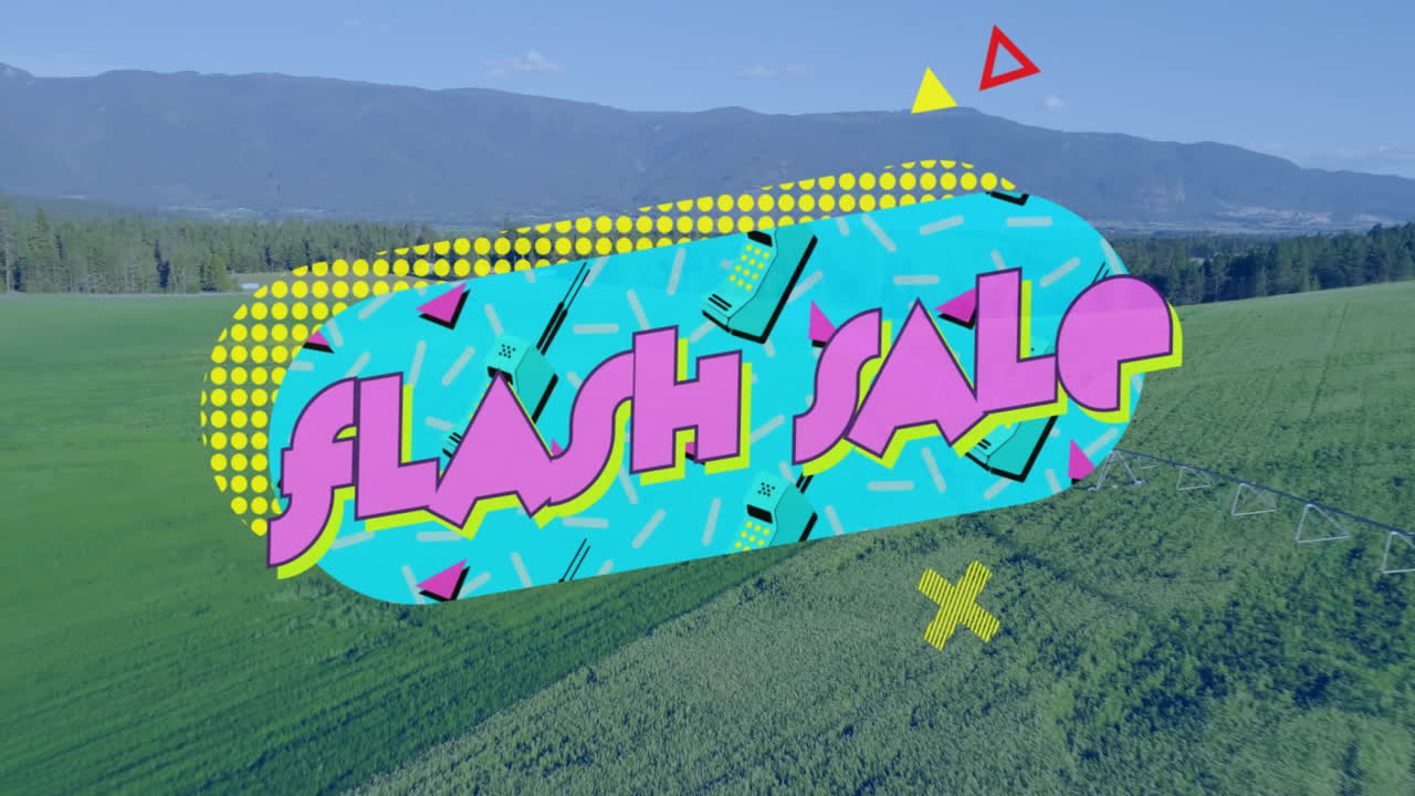FLASH SALE graphic overlay stretching across green farmland, showing neon icons in flat design