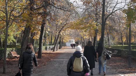 herfstwandeling in het park