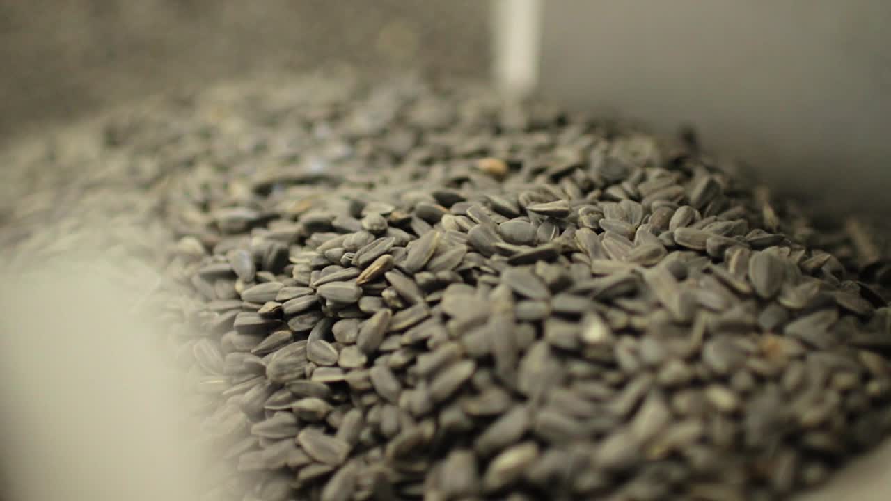 공장 컨베이어 에 있는 꽃 씨