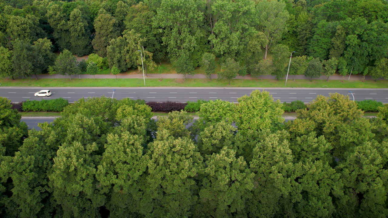 공중 - 초록색과 높은 나무의 줄무 ⁇ 를 따라 위치한 각 방향으로 여러 차선의 교통을 가진 넓은 거리