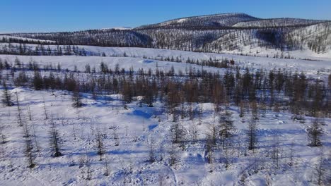 nature of winter yakutia from a drone 4k