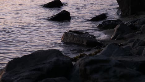 vagues calmes au bord de l'océan rocheux au crépuscule au ralenti