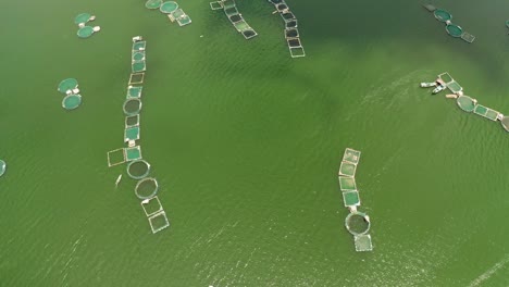 fish farm on the lake taal, philippines