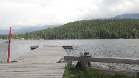 Static-shot-from-wooden-docking-platform-at-rainbow-park-overlooking-a-forest-full-of-evergreen-coniferous-trees-in-overcast-weather