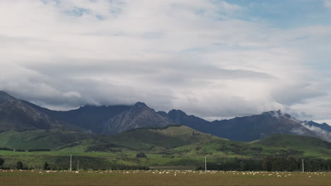 Ovejas-Pastando-En-Los-Pintorescos-Pastos-De-La-Granja-De-Nueva-Zelanda-Con-Hermosas-Montañas-En-El-Fondo