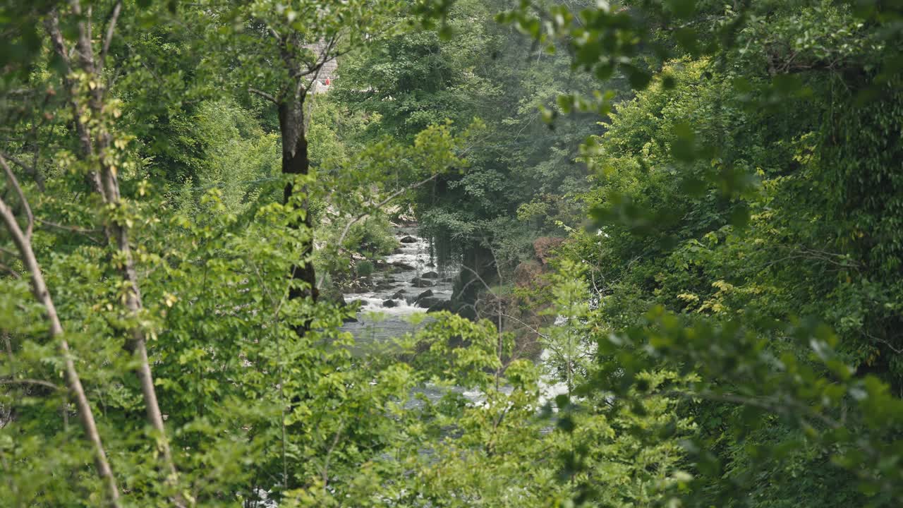 크로아티아 라스토케 의 울창 한 초록 잎자루 를 통해 볼 수 있는 폭포