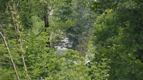 Waterfall-viewed-through-dense-green-foliage-in-Rastoke,-Croatia