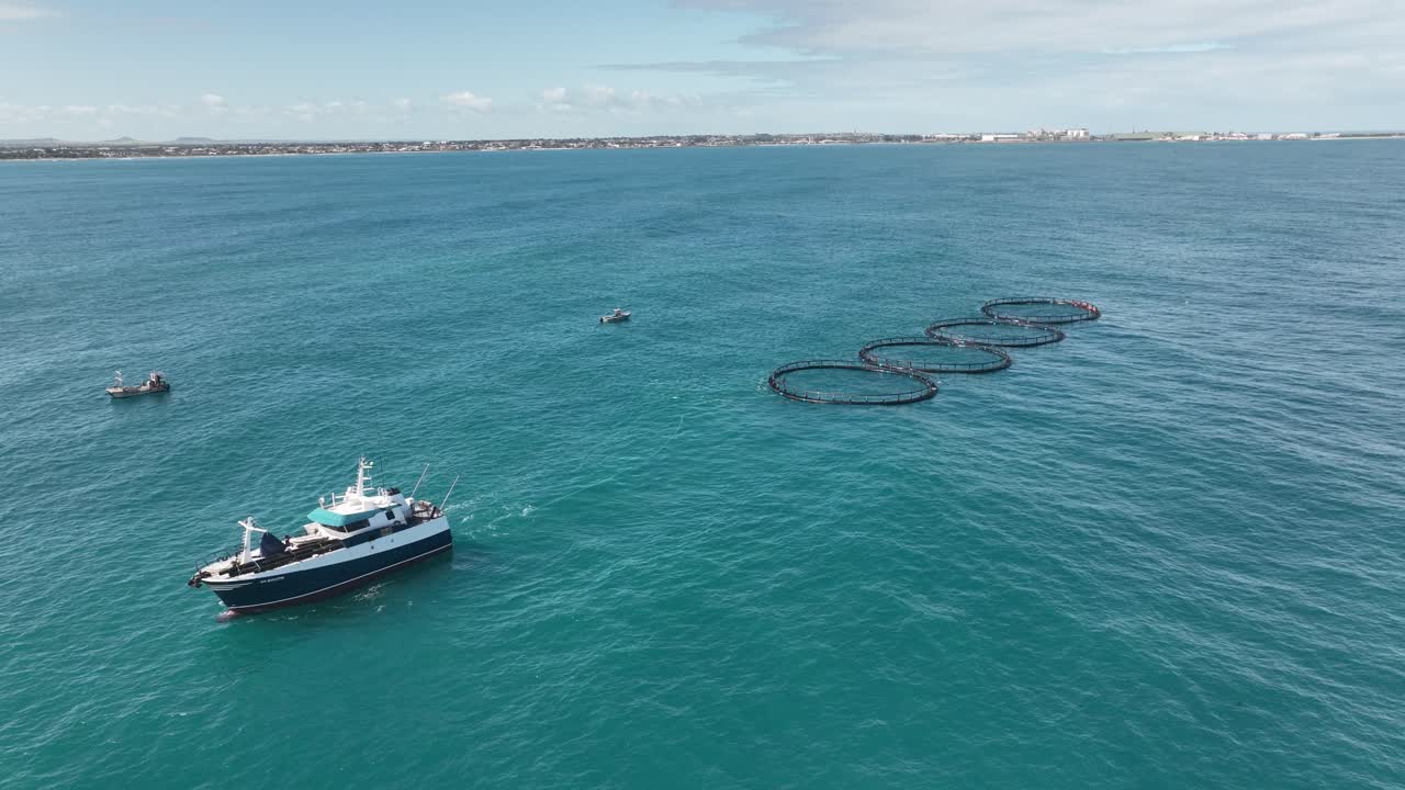 중간 크기의 해양 선박이 서부 오스트레일리아 해안을 따라 네 개의 생선 농장을 견인합니다.