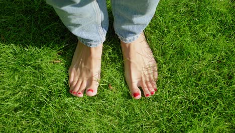 bare female feet wriggle toes in sunny green grass, high angle