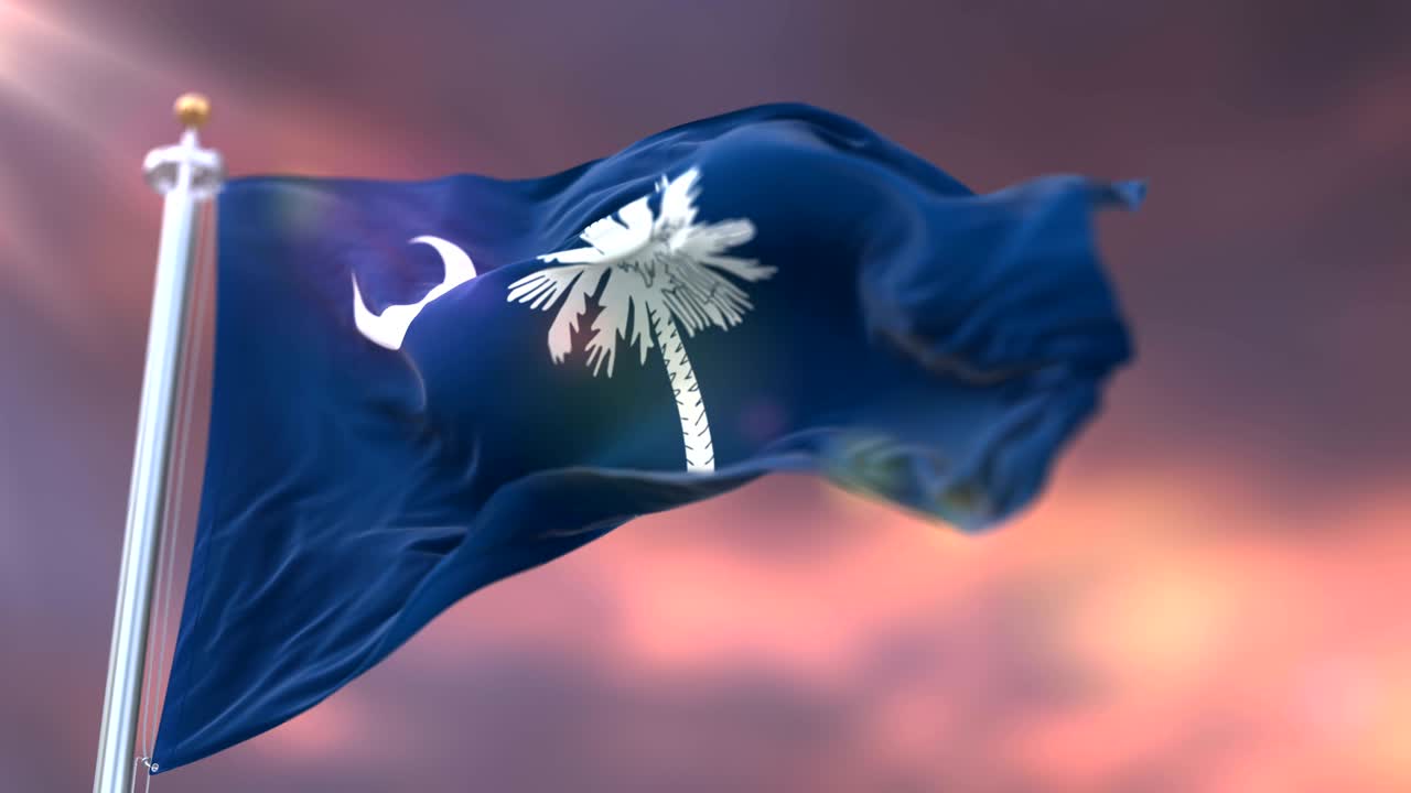 bandera del estado estadounidense de carolina del sur ondeando en el viento al atardecer - bucle