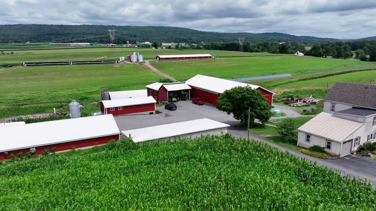 Aerial approaching shot of large american farmstead with buildings and home surrounded by green landscape. Cloudy day in small american town of PA, USA. Growing maize field along street.